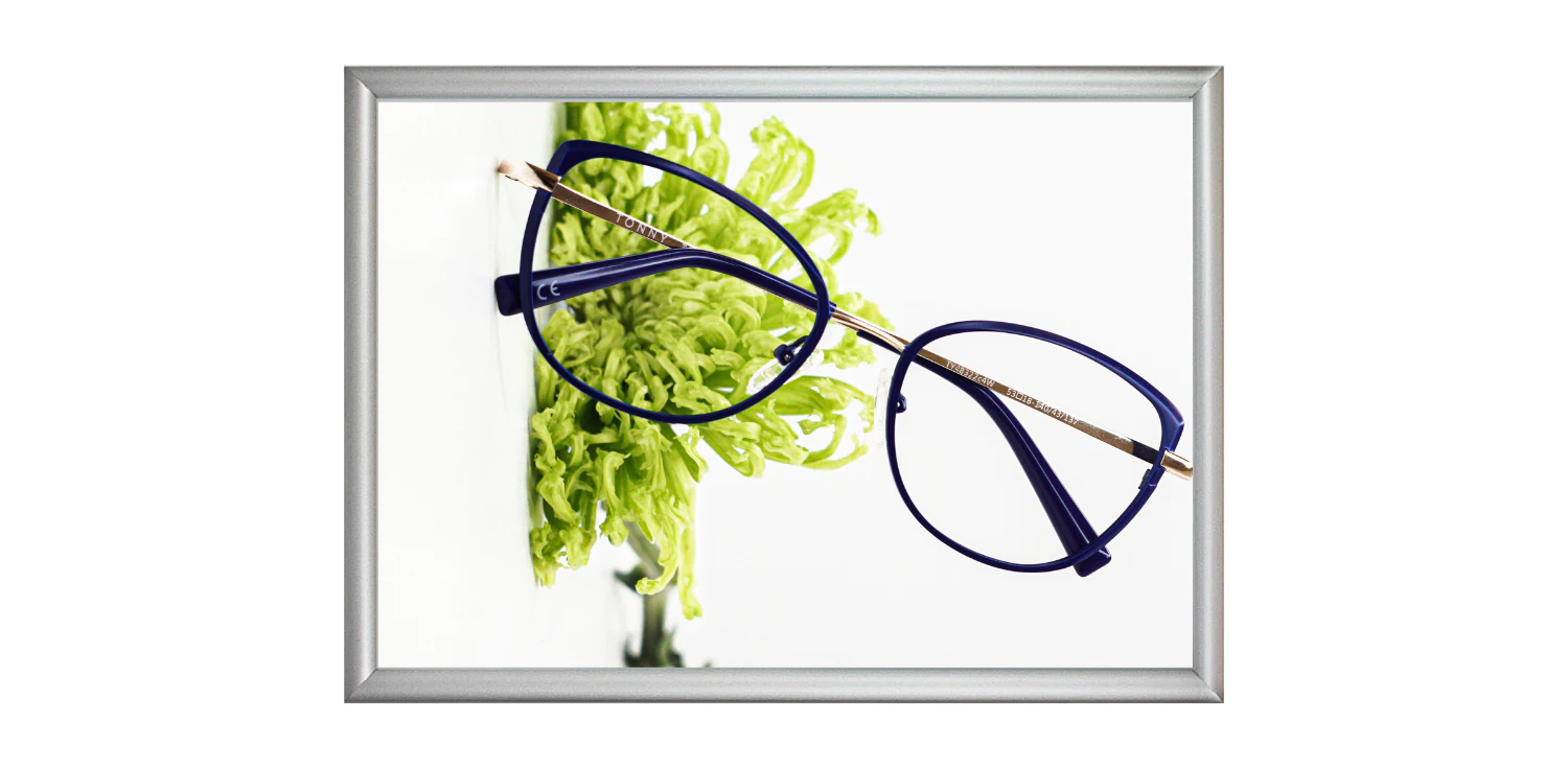 The Advertising Frame...