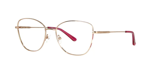 Optical frame TONNY 48268C5