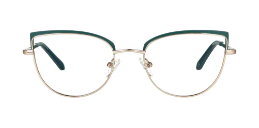 Optical frame TONNY 48281C4