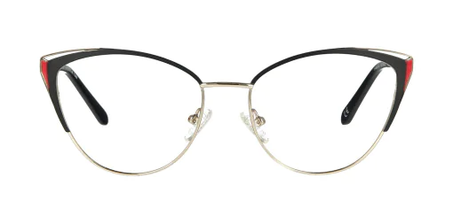 Optical frame TONNY 48303C4