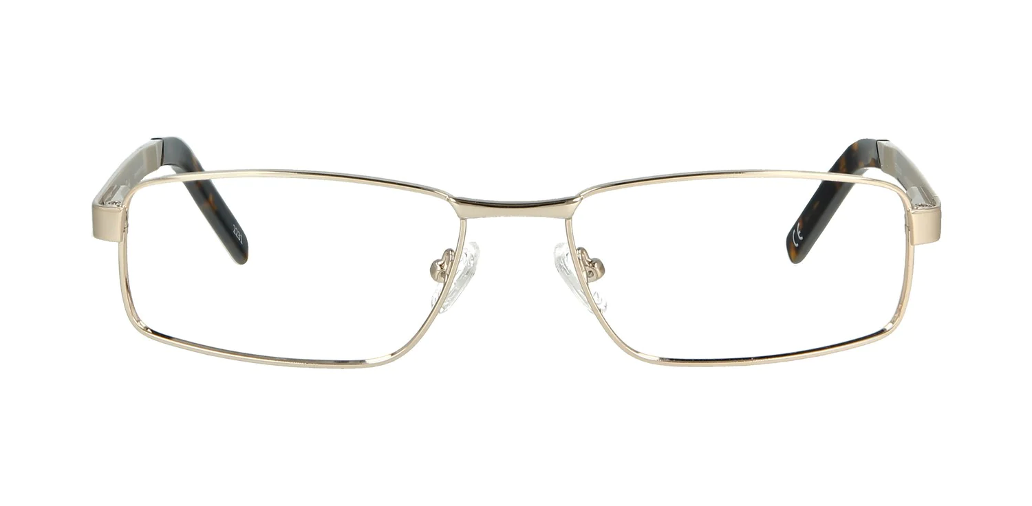 Optical frame Francis...