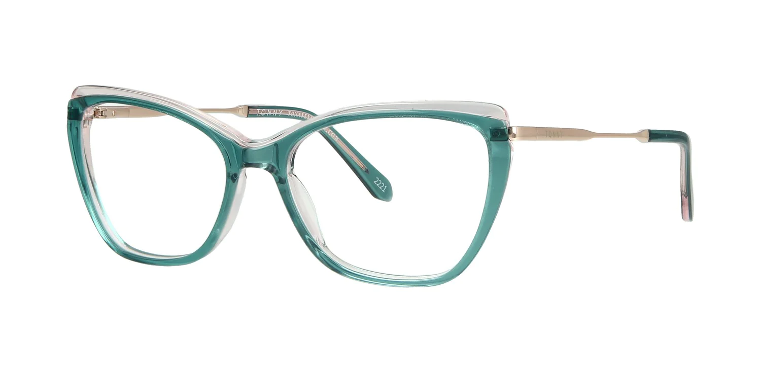 Optical frame TONNY 48347C2