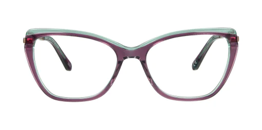 Optical frame TONNY 48347C4