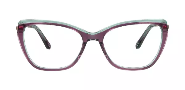 Optical frame TONNY 48347C4