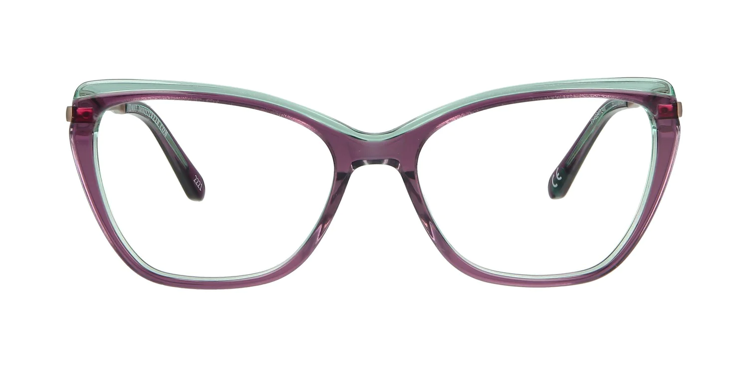 Optical frame TONNY 48347C4