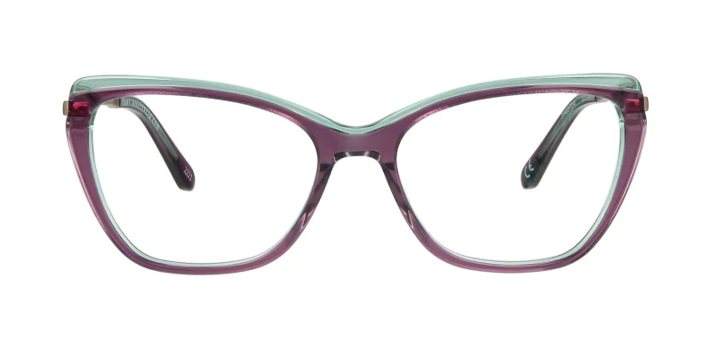 Optical frame TONNY 48347C4