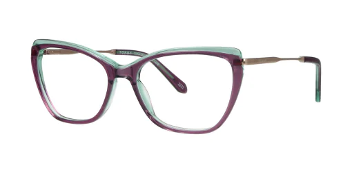 Optical frame TONNY 48347C4