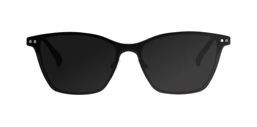 CLIP-ON sun cover 0013C