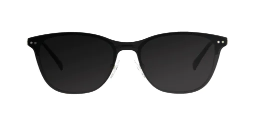 CLIP-ON sun cover 0015C