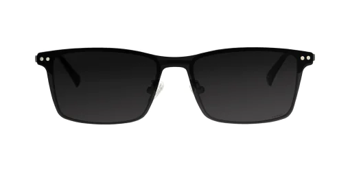 CLIP-ON sun cover 0017C