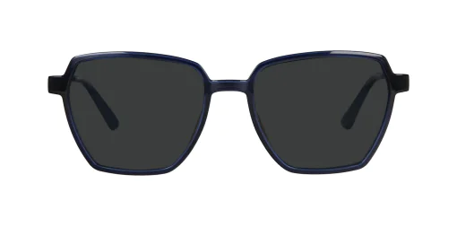 CLIP-ON sun cover 0028C1