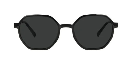 CLIP-ON sun cover 0029C1