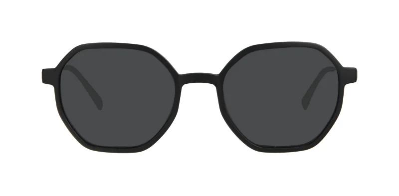 CLIP-ON sun cover 0029C4