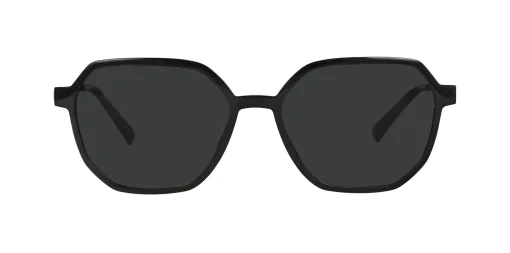 CLIP-ON sun cover 0030C1