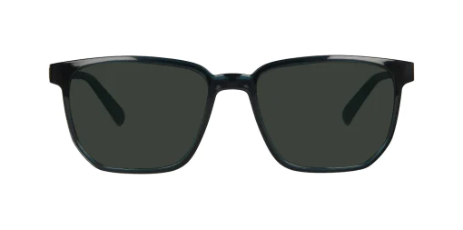 CLIP-ON sun cover 0033C2