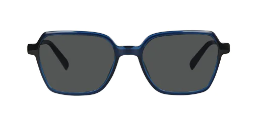 CLIP-ON sun cover 0034C1