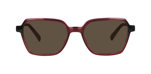 CLIP-ON sun cover 0034C2