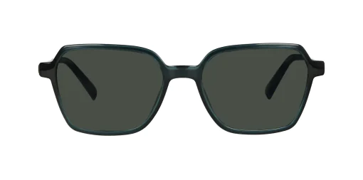 CLIP-ON sun cover 0034C3