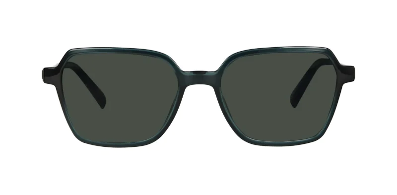 CLIP-ON sun cover 0034C3