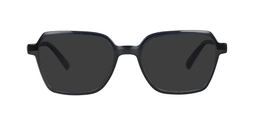 CLIP-ON sun cover 0034C4