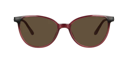 CLIP-ON sun cover 0035C2