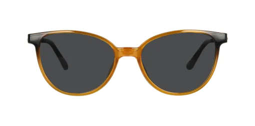 CLIP-ON sun cover 0035C4