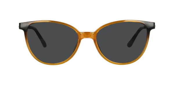 CLIP-ON sun cover 0035C4