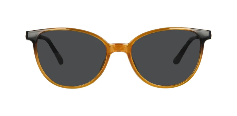 CLIP-ON sun cover 0035C4