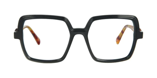 Optical frame TONNY 14011C1