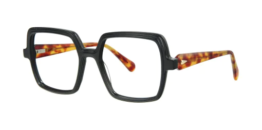 Optical frame TONNY 14011C1