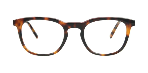 Optical frame TONNY 14015C2