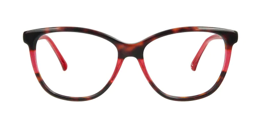 Optical frame TONNY 14017C2