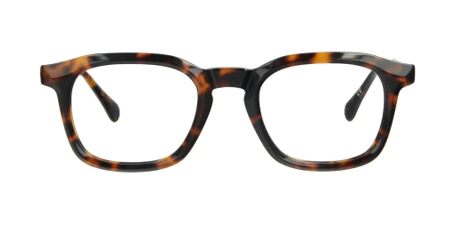 Optical frame TONNY 14019C2