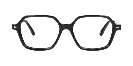 Optical frame TONNY 14028C1