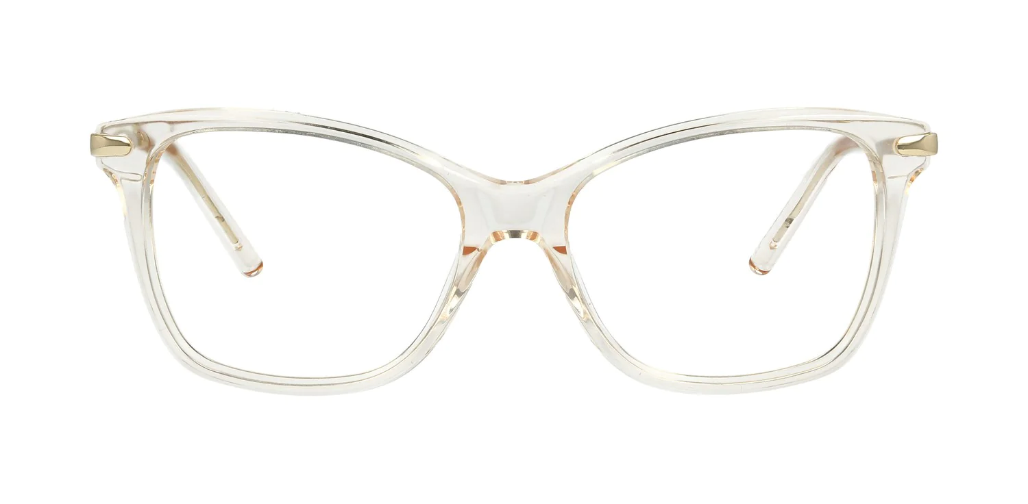 Optical frame TONNY 14033C2