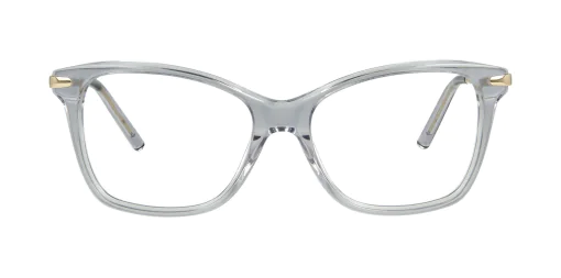 Optical frame TONNY 14033C4