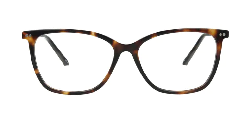 Optical frame TONNY 14038C2