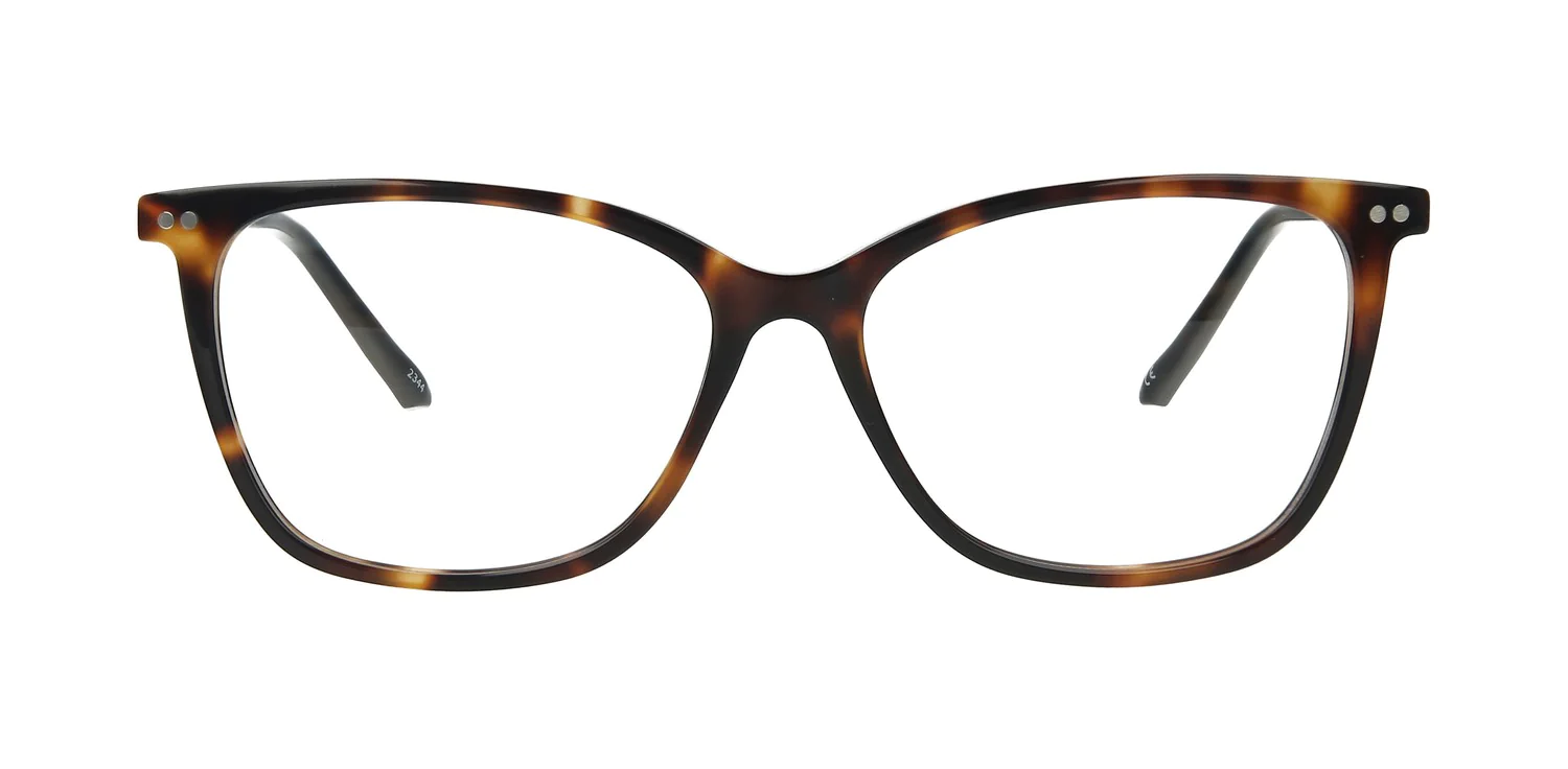 Optical frame TONNY 14038C2