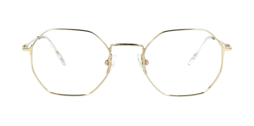 Optical frame TONNY 14049C1