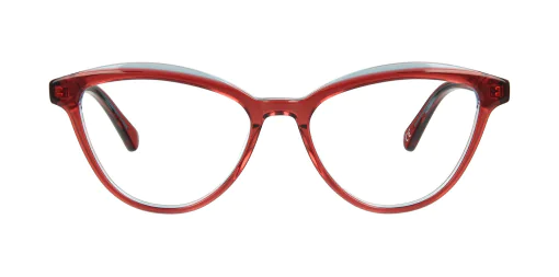 Optical frame TONNY 14055C2