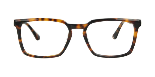 Optical frame TONNY 14056C2