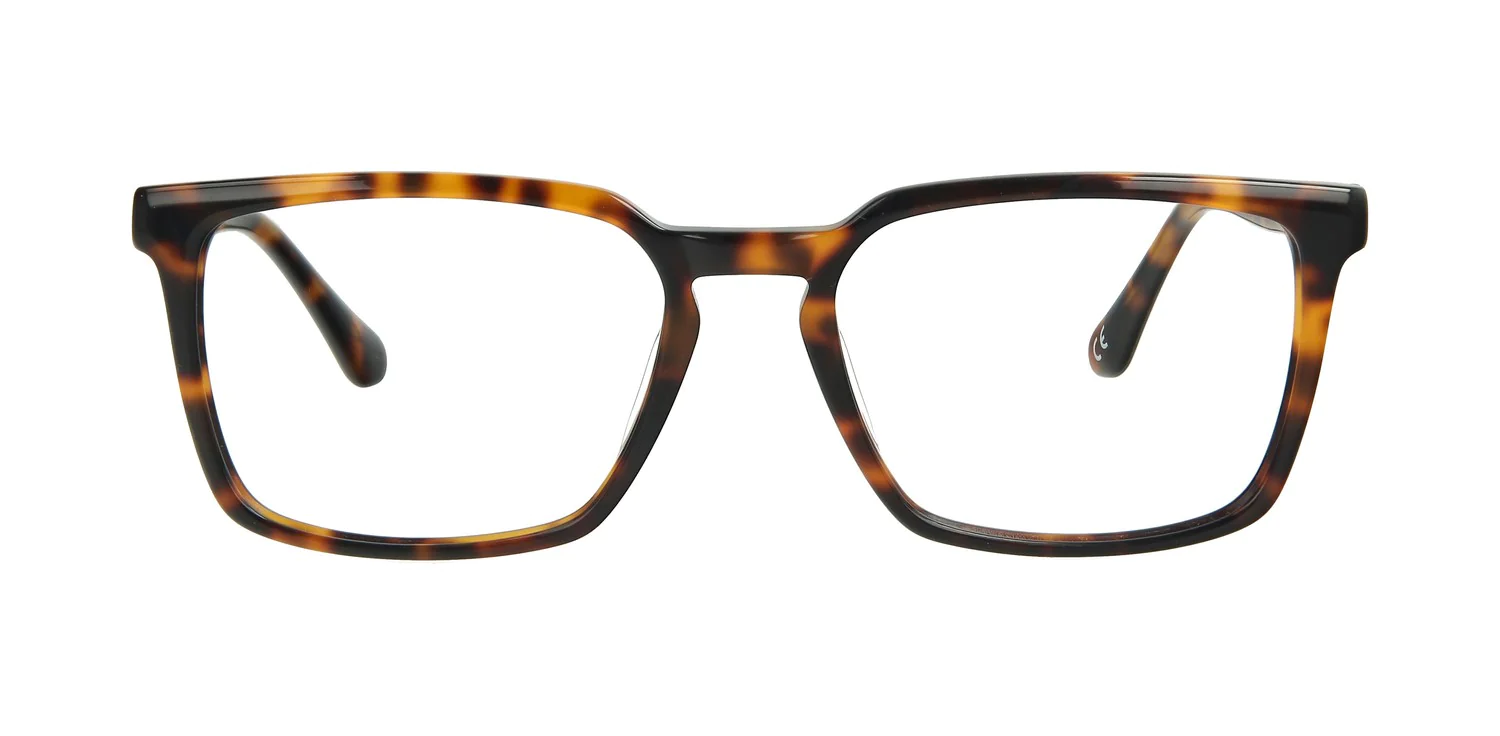 Optical frame TONNY 14056C2