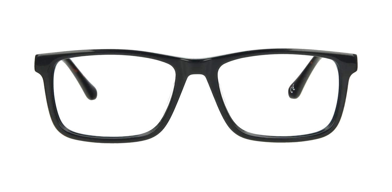 Optical frame TONNY 14057C4