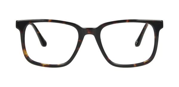 Optical frame TONNY 14058C2