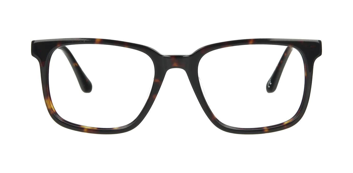 Optical frame TONNY 14058C2