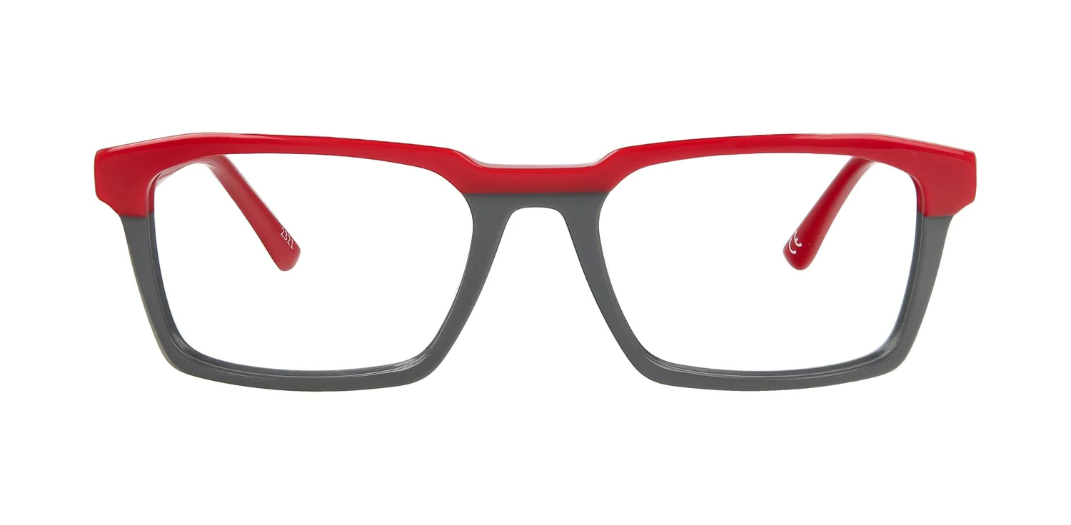 Optical frame TONNY 48352C2