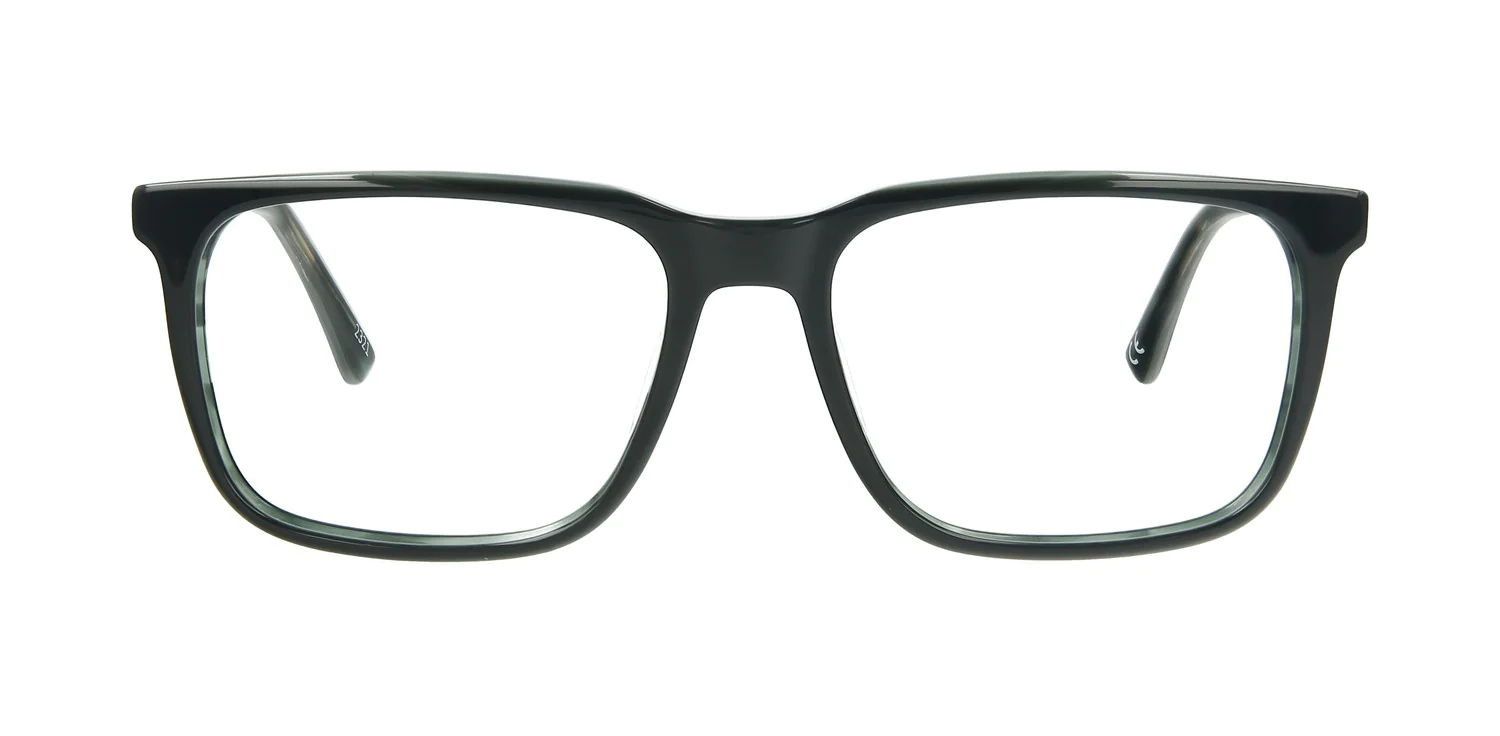 Optical frame TONNY 48355C2