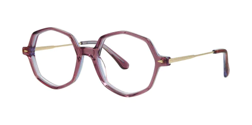 Optical frame TONNY 14027C2