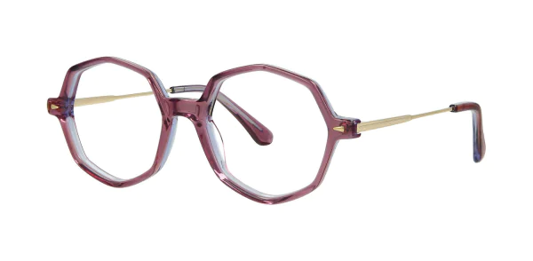 Optical frame TONNY 14027C2