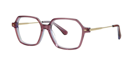 Optical frame TONNY 14028C2